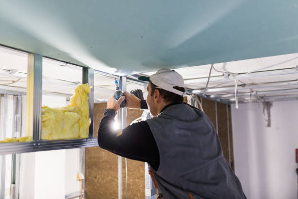 Best Geographic-Specific Insulation Services in Batesville, MS