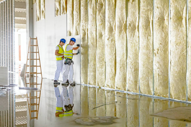 Best Cellulose Insulation in Batesville, MS